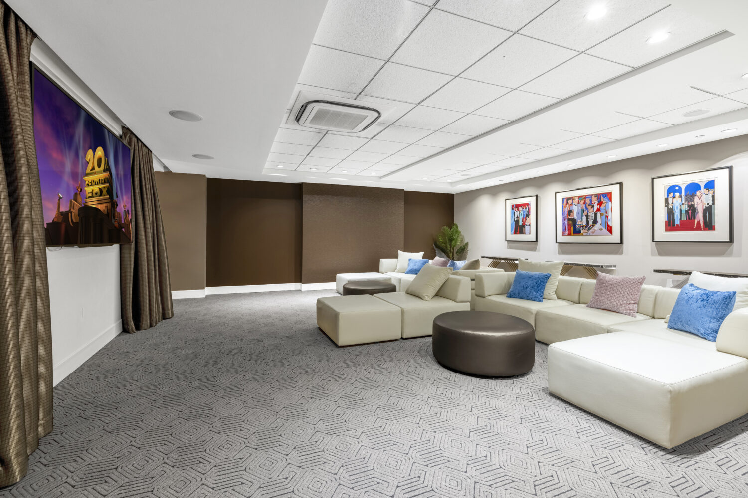 media room for watching TV with friends and family