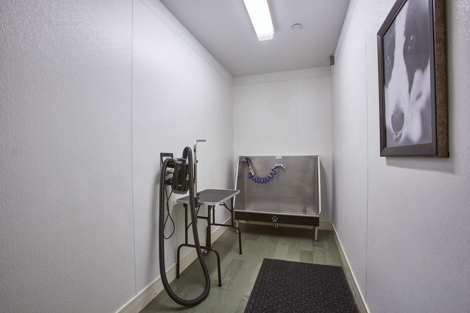 pet grooming station with tub and dryer