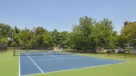play a game of tennis 