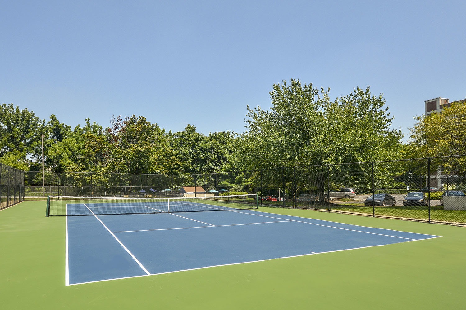 play a game of tennis