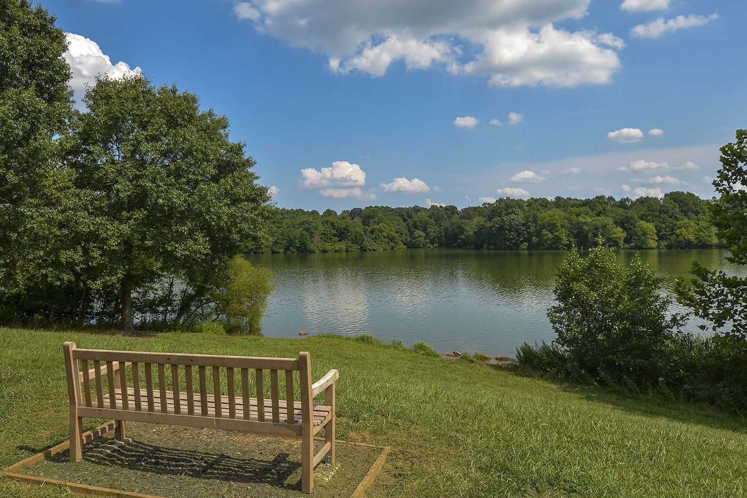 bench overlooking lake