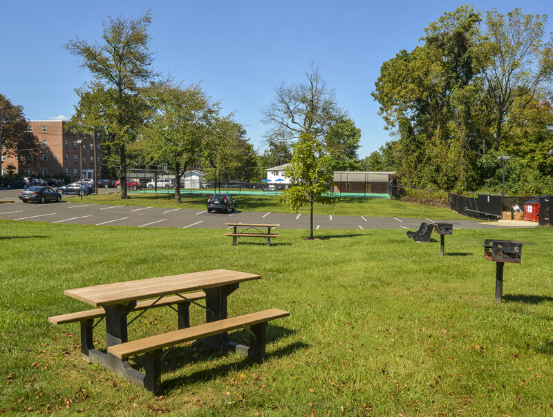 Picnic Grove