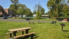 picnic tables and grills by the pool and sports court