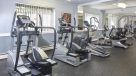 elliptical machines in the fitness center 