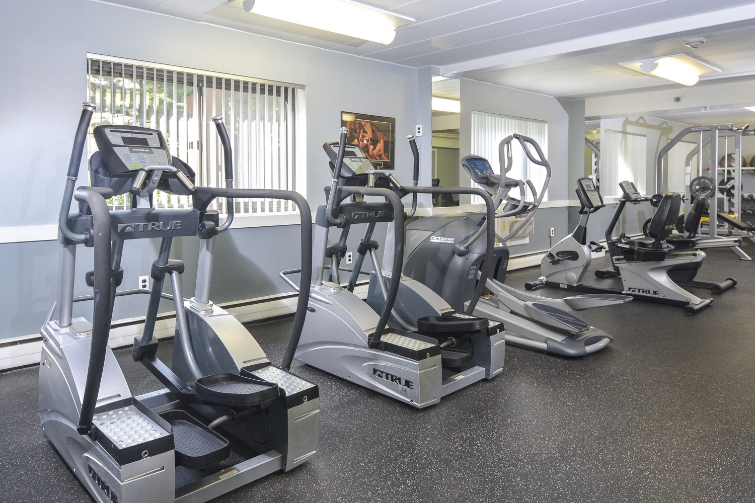 elliptical machines in the fitness center 