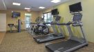 treadmills and elliptical machines in premiere fitness center 