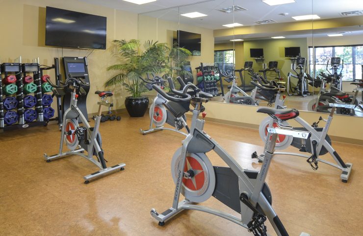spin bikes with on-demand virtual classes 