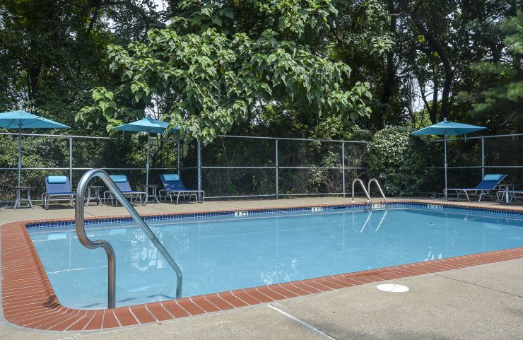 relax at the pool 