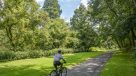 beautiful parks near bridgeview apartments 