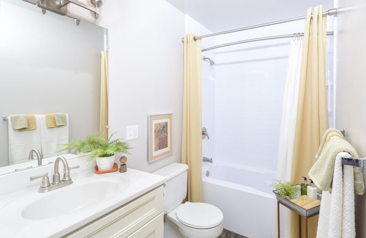 Bathroom with Plank flooring