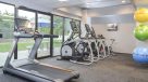 views of the outdoors while running in fitness center