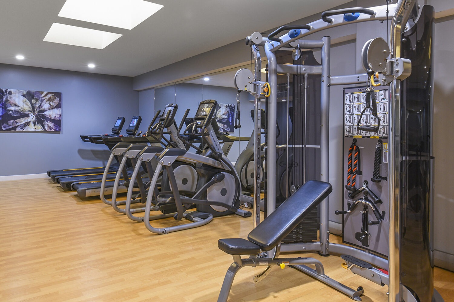 spin bikes in fitness center 