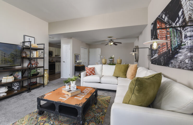 sunny large living area