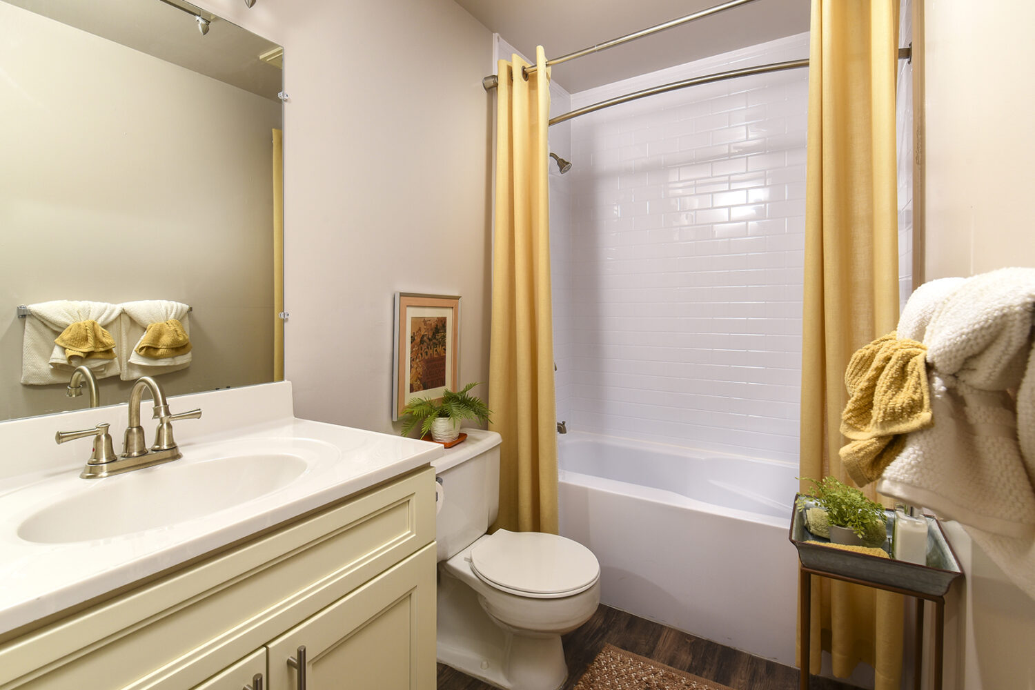 Bathroom with Plank flooring