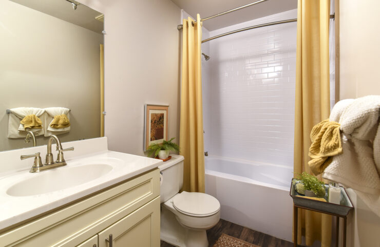 Bathroom with Plank flooring