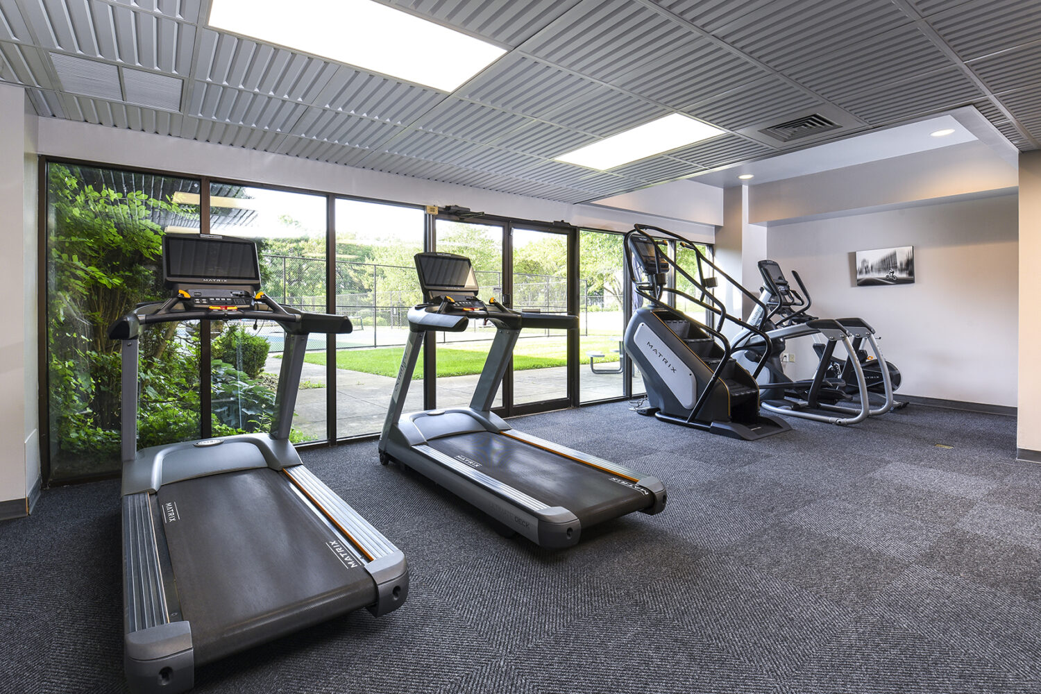 views of the outdoors while running in fitness center