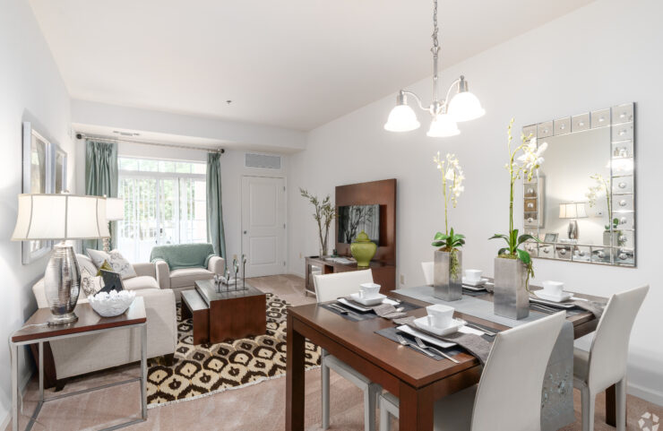 open dining and living area