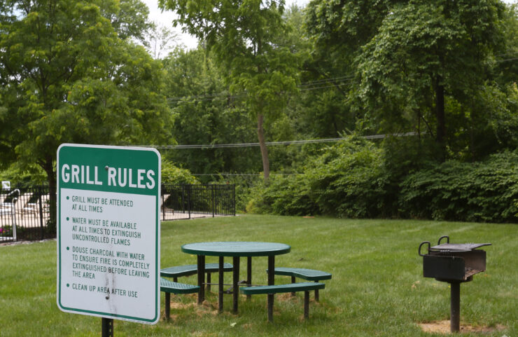 picnic area with grills