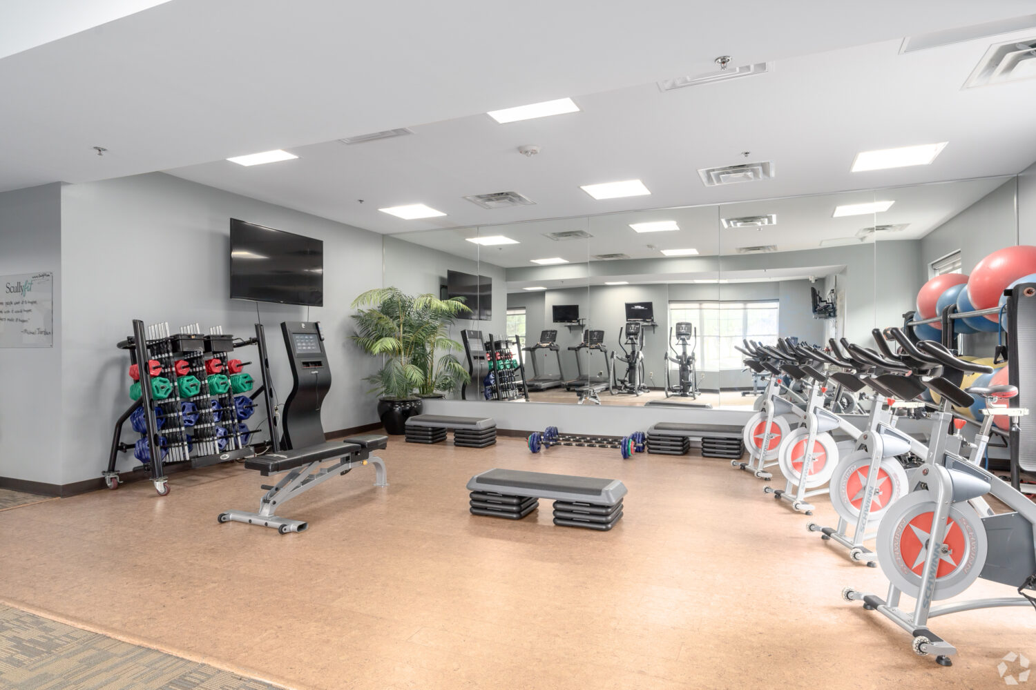 spin bikes with on-demand virtual classes 