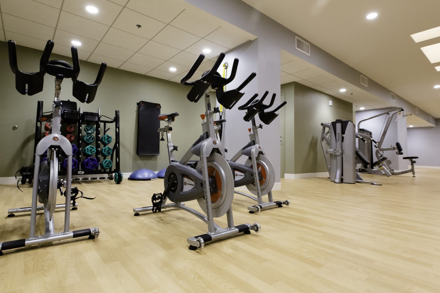spin bikes in fitness center