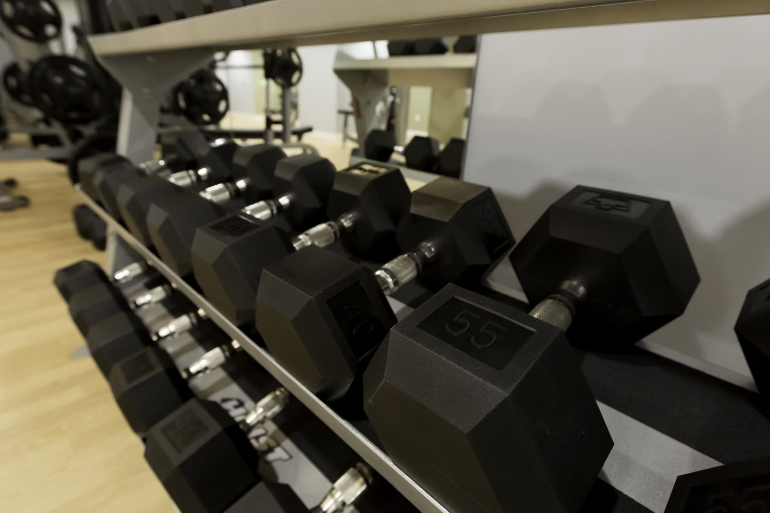 free weights in the fitness center
