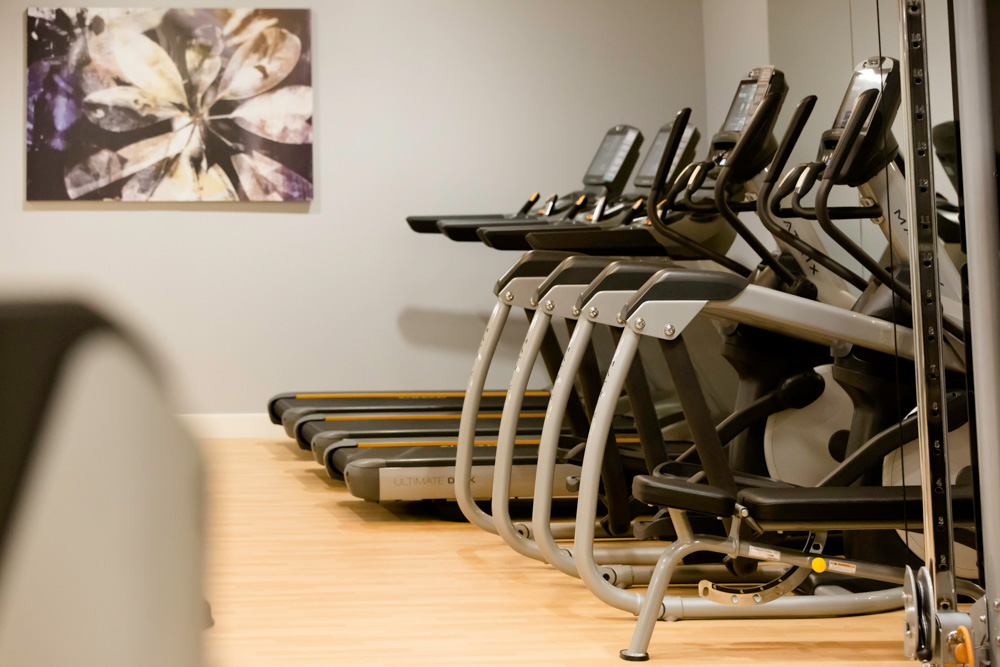 treadmills and ellipticals in the fitness center