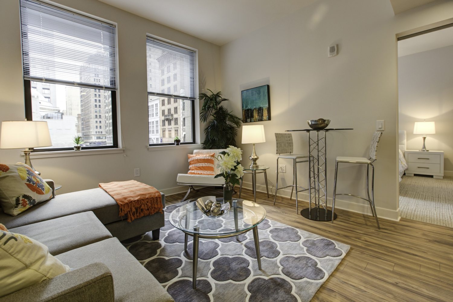 1 bedroom living area