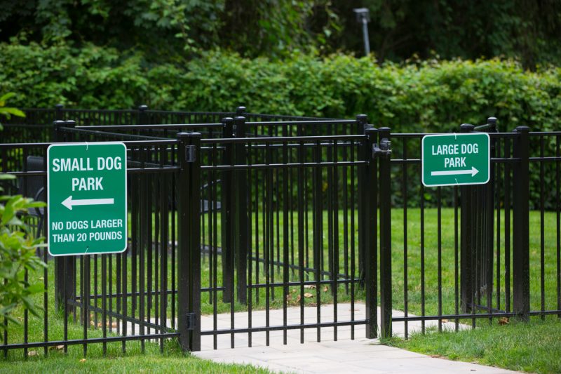 Separate dog parks for small and large dogs