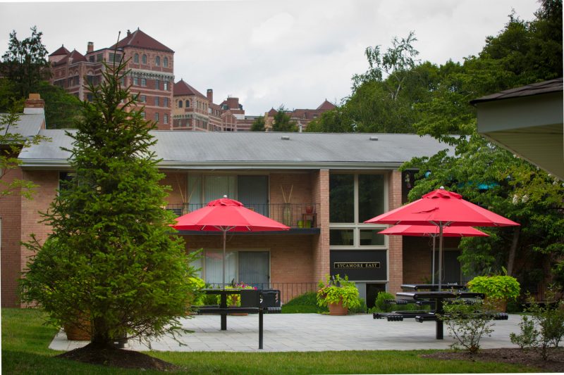 Picnic & grill patio