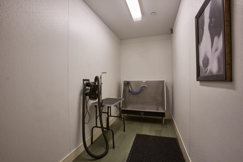 Pet Grooming Station