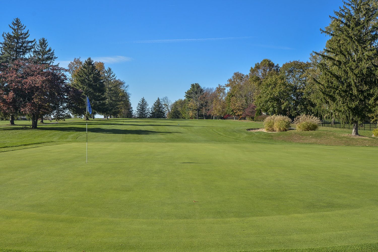 view of the westover golf course 