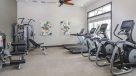 fitness center with virtual active cardio machines 