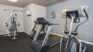 elliptical, treadmill and weight machine in fitness center