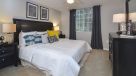 bedroom with carpet and ceiling fan 