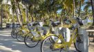 nearby bike rentals
