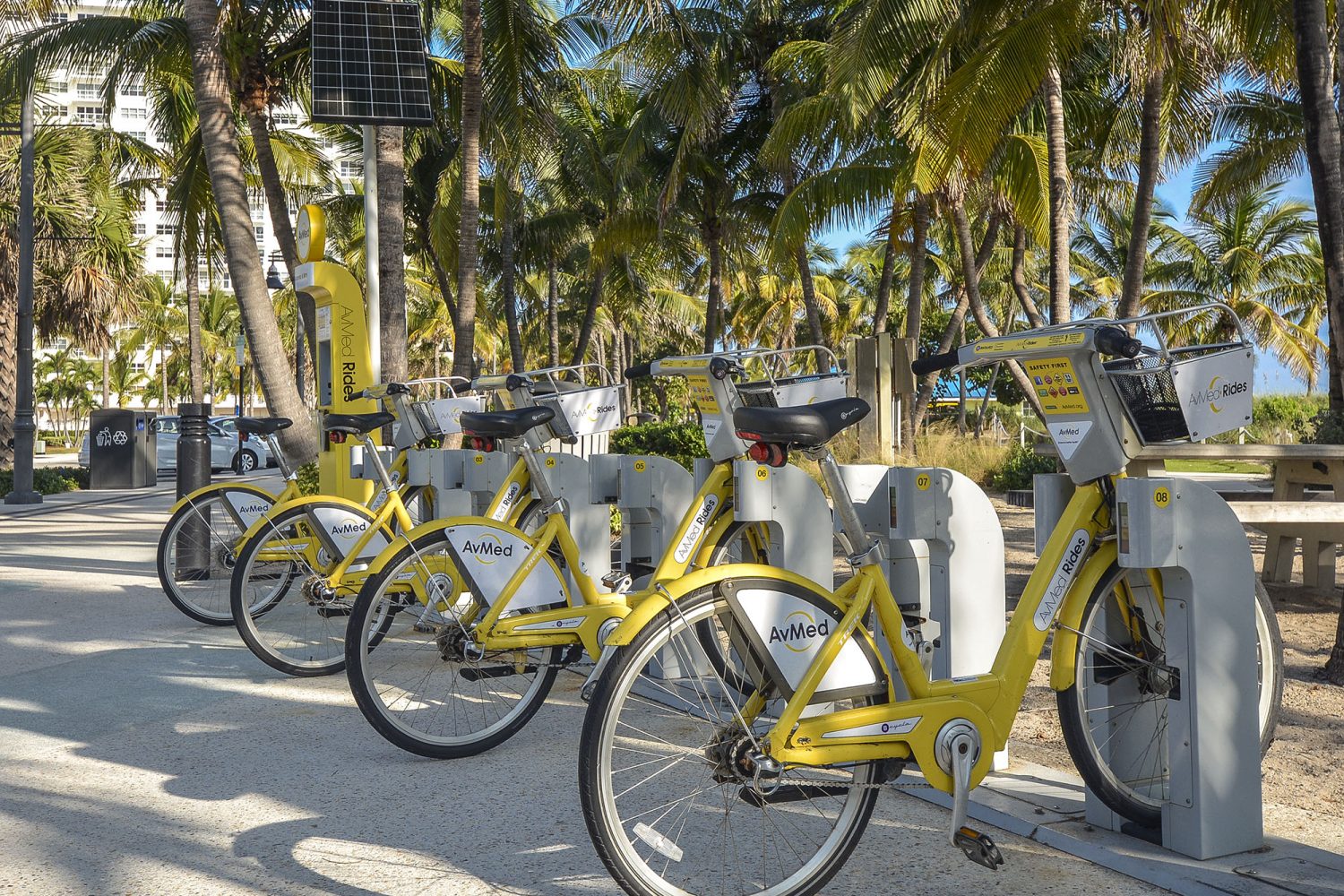 nearby bike rentals