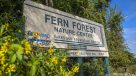 Nearby: Fern Forest Nature Center signage 