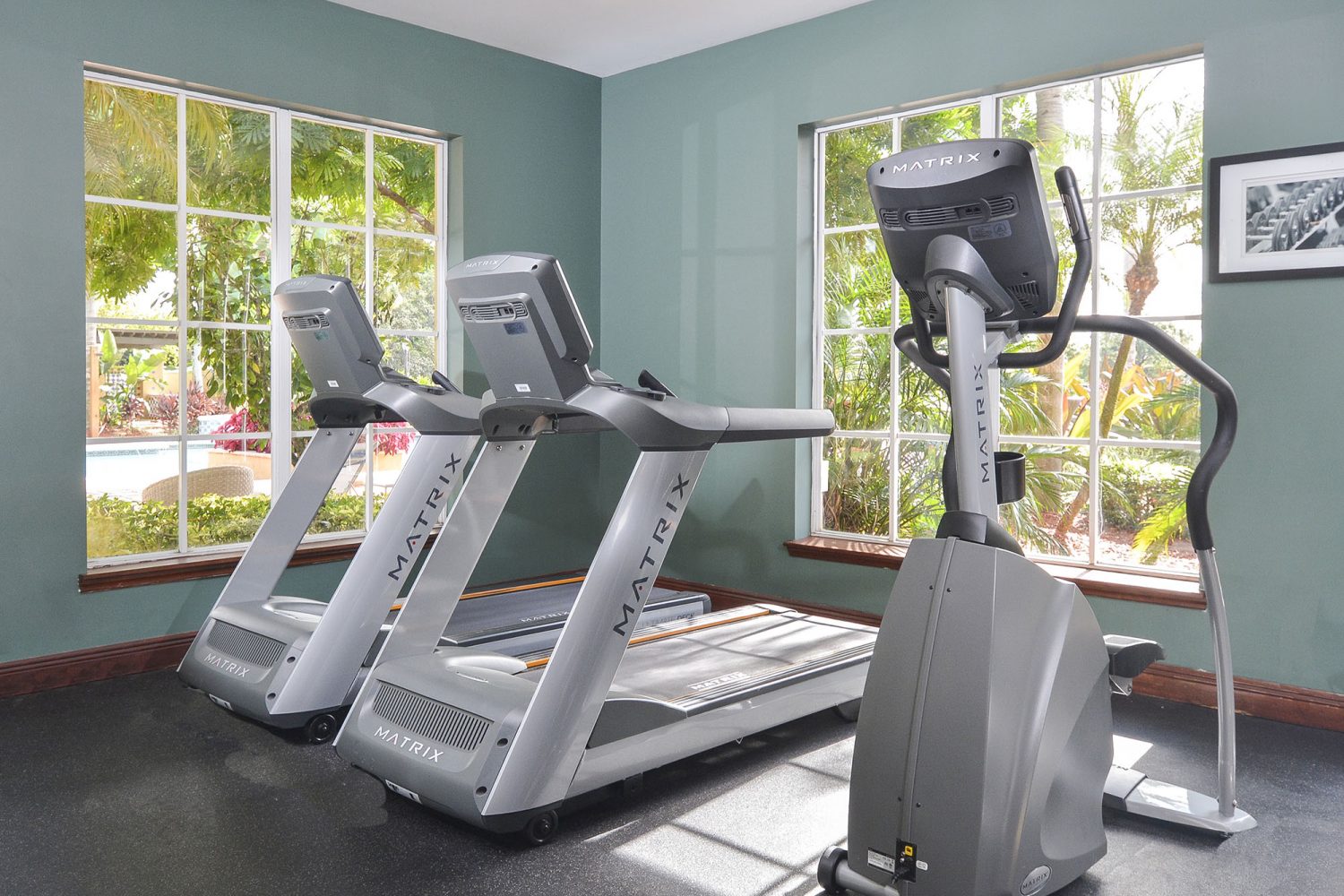 two treadmills and an elliptical in the fitness center