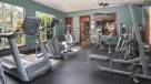 cardio equipment and weight machines in the fitness center 