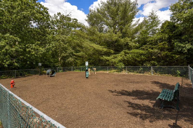Dog Park
