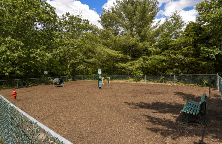 dog park with a bench