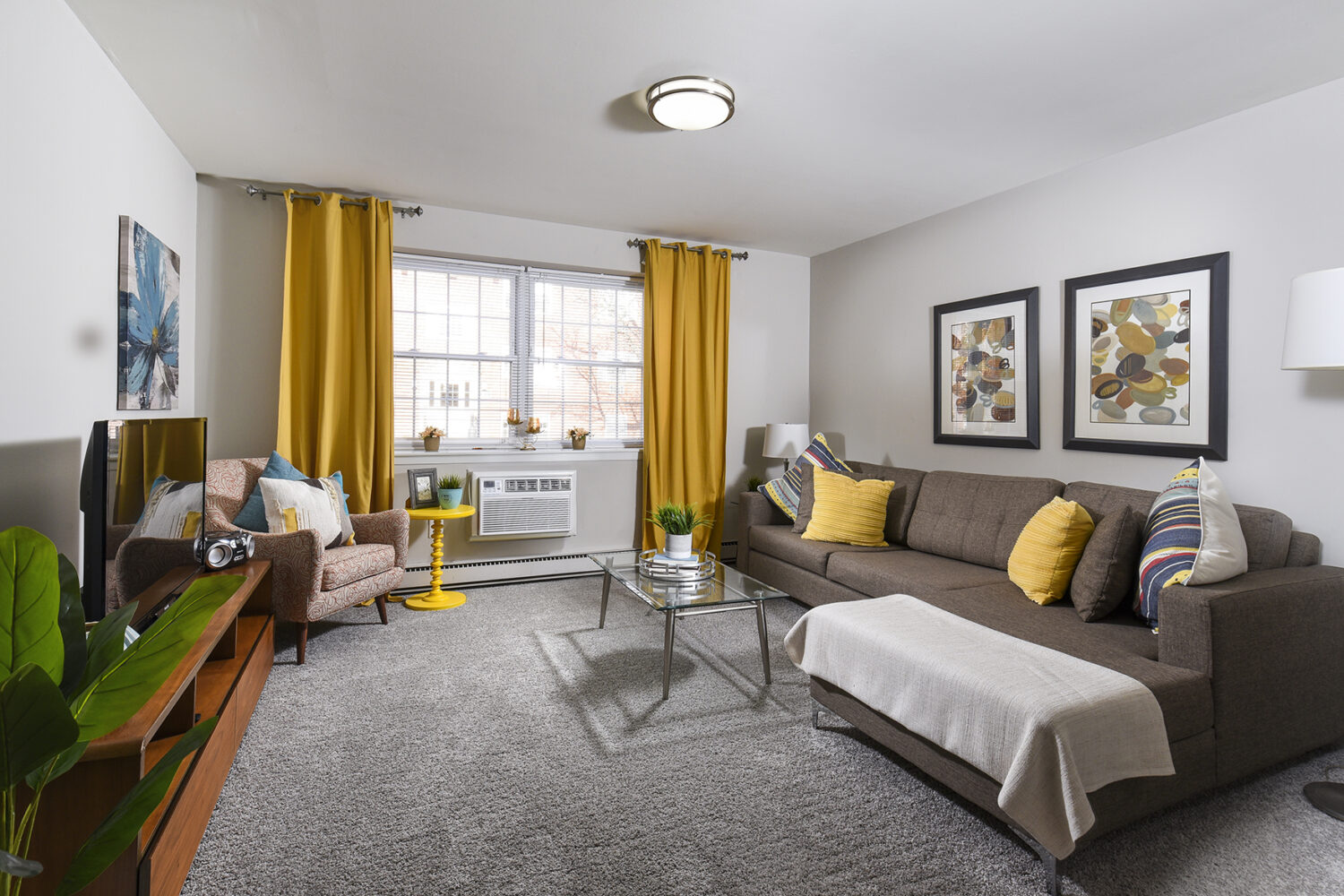 living room with carpet and large window