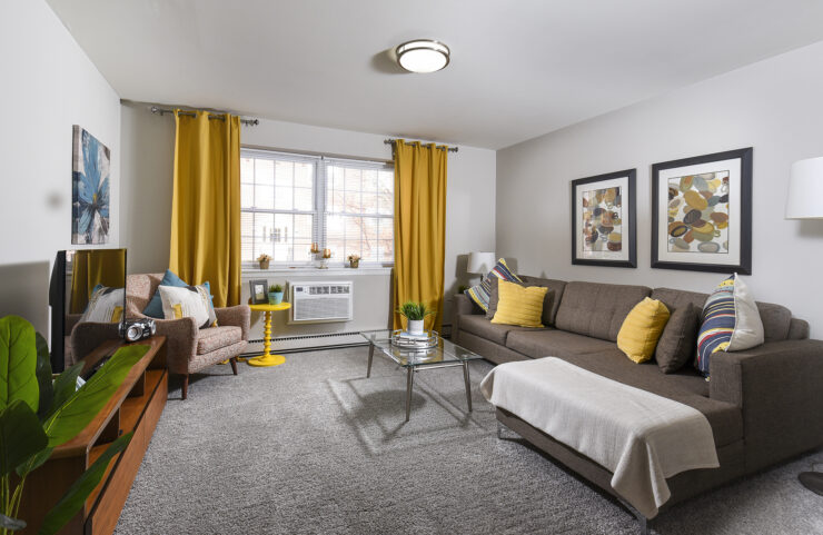 living room with carpet and large window