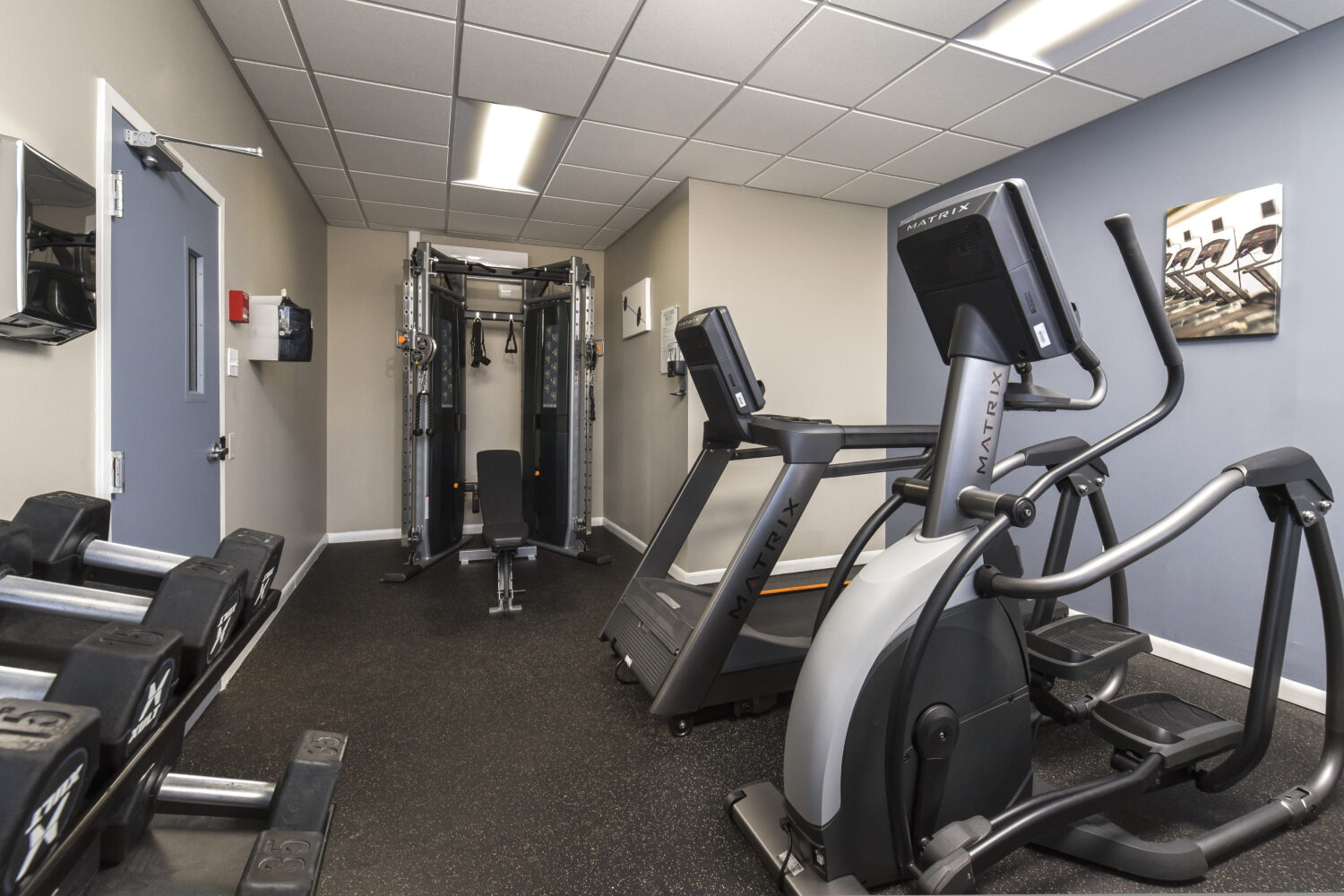 elliptical, treadmill and weight machines
