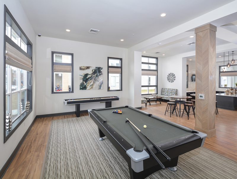 Gaming Room with Billiards