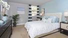large bedroom with wall to wall carpet 