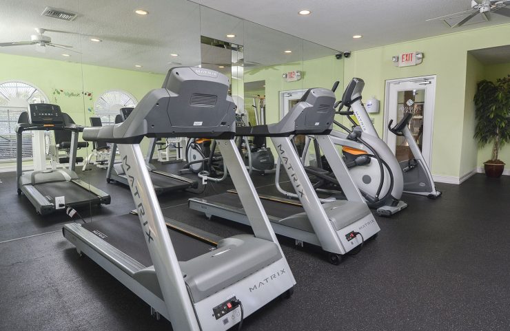 treadmills and elliptical machines in fitness center 
