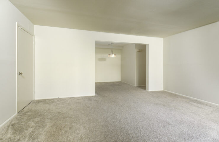 large living room with carpeting