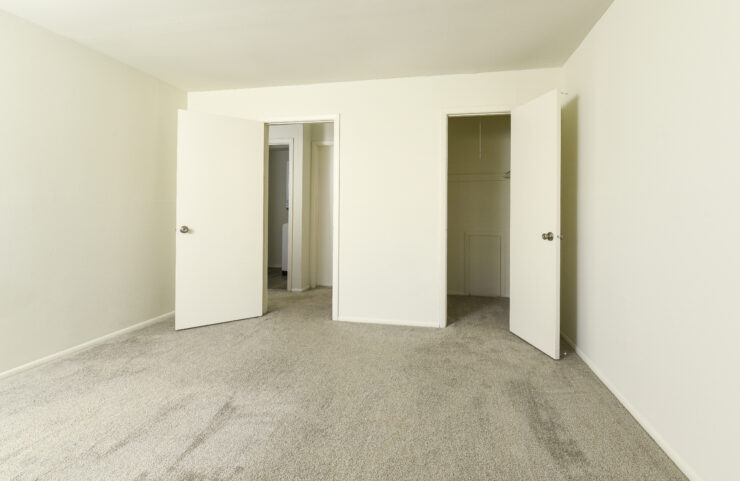 bedroom with large walkin closet