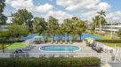 aerial view of pool with surrounding white fence and palm trees